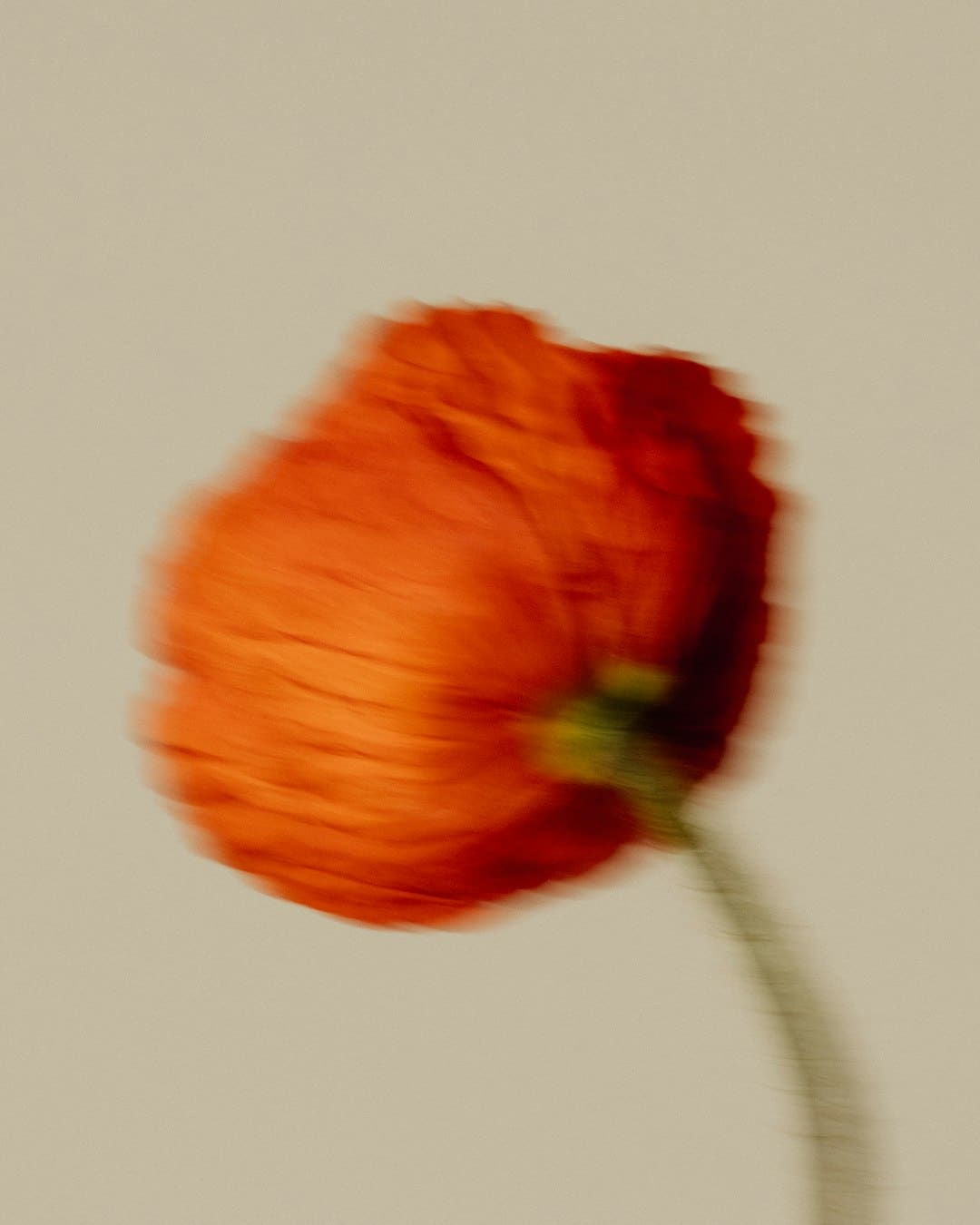 https://img0.utuku.imgcdc.com/650x0/news/20250905/5a5c9c26-a09f-4acd-9d31-f656bd150eec.jpg
